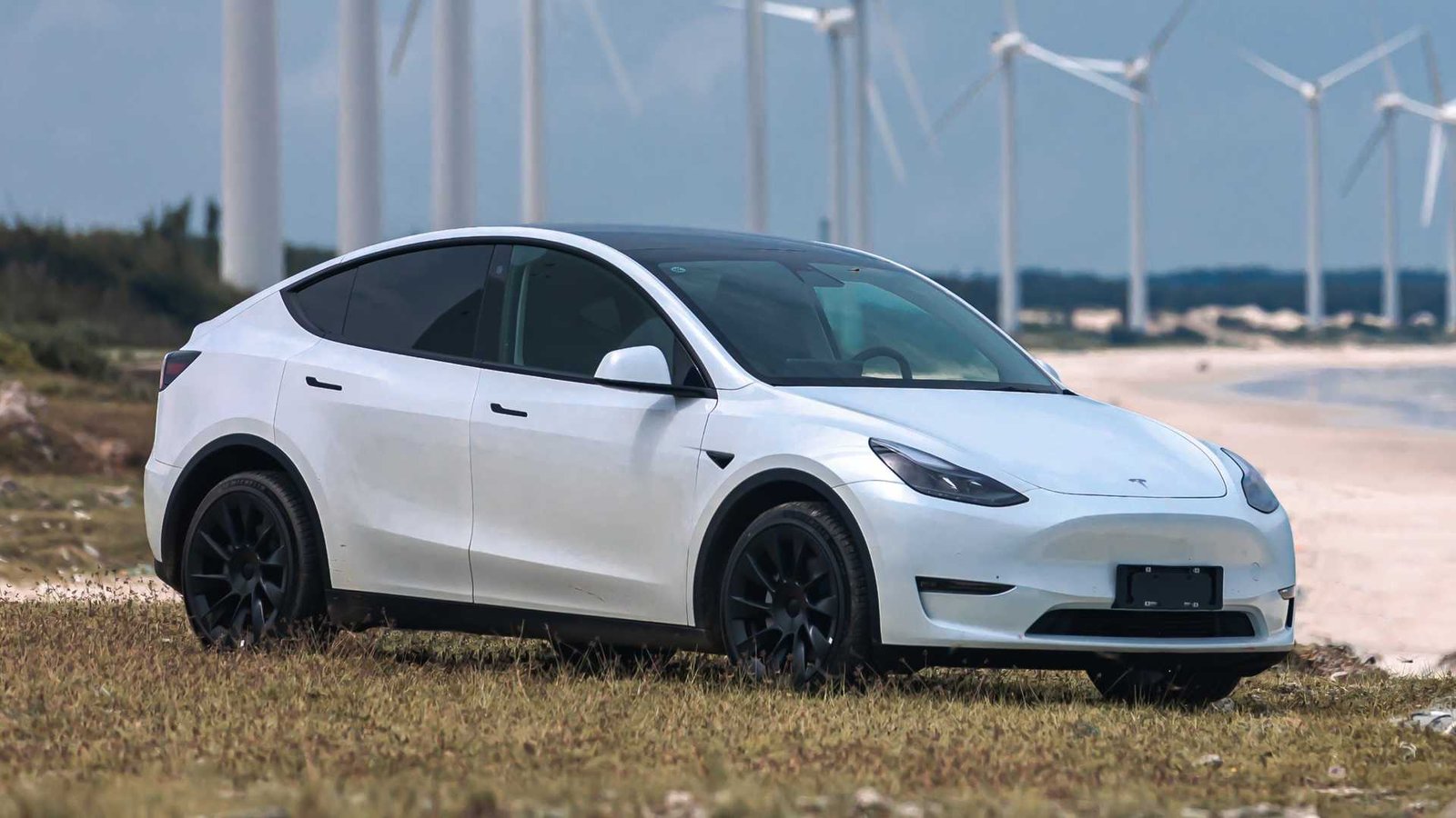 tesla model y mic 1